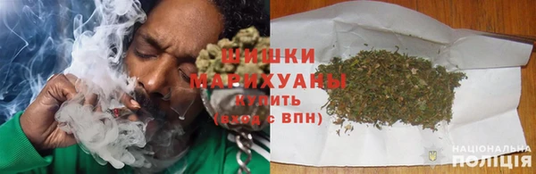 сатива Беломорск