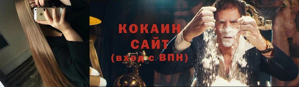 сатива Беломорск