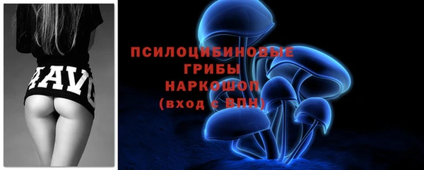 соль курить ск Белокуриха