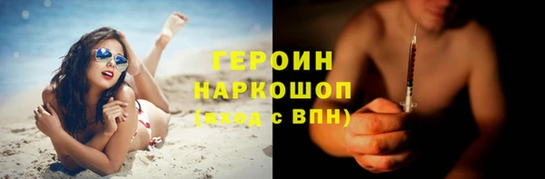 сатива Беломорск