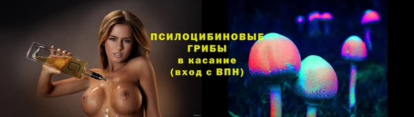 соль курить ск Белокуриха