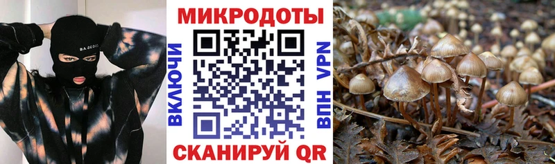 Псилоцибиновые грибы GOLDEN TEACHER  Нахабино 